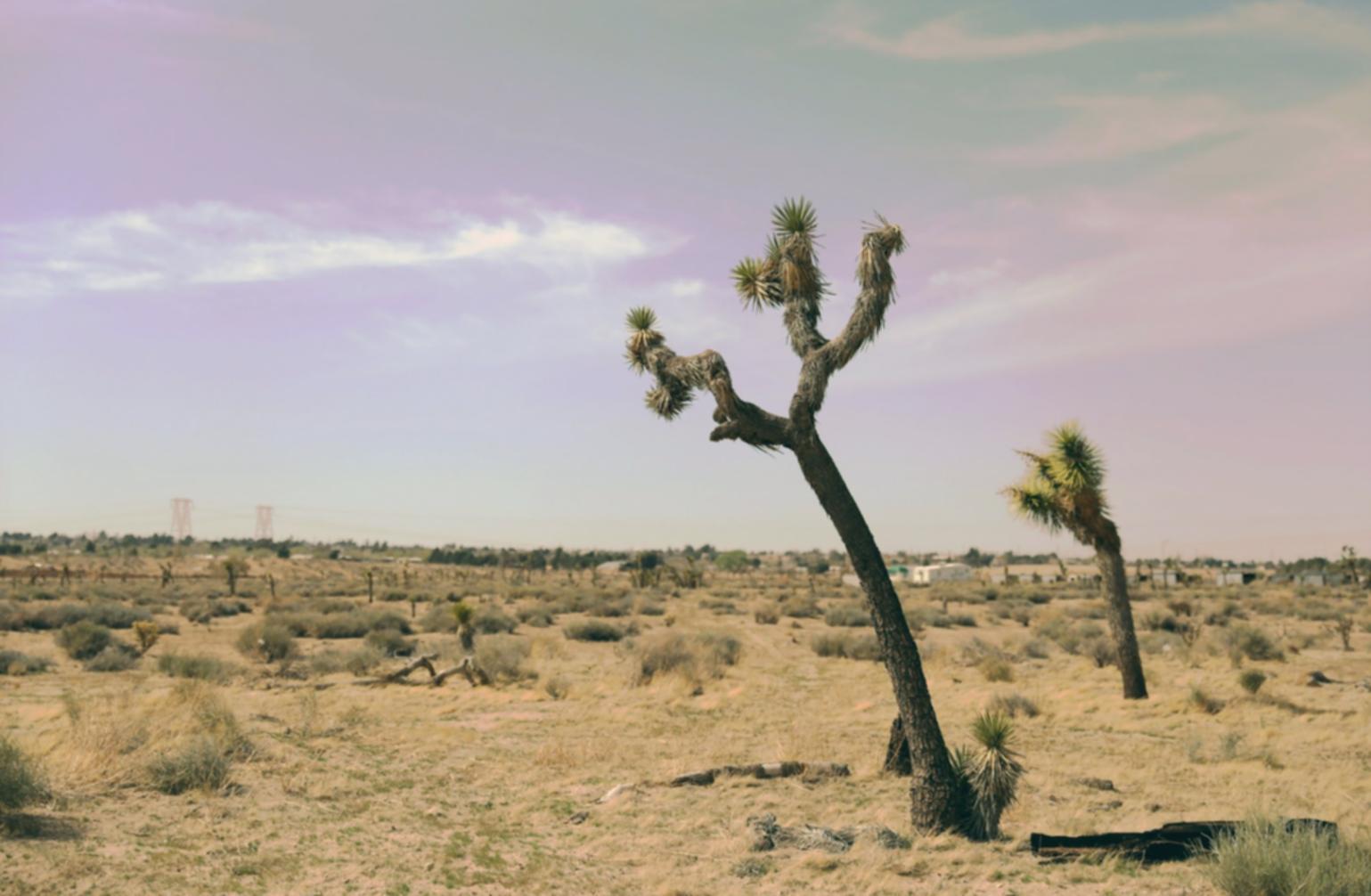 Процес навчання та робота з матеріалами курсу